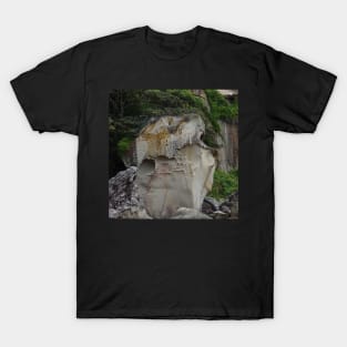 Big Balmoral Rock T-Shirt